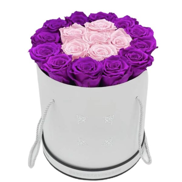 18 Preserved Roses In A Large Cylinder Box 5 Colors To Choose From
