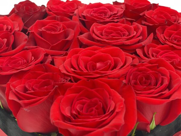 Black Velvet Heart Shaped Box With Red Roses 02