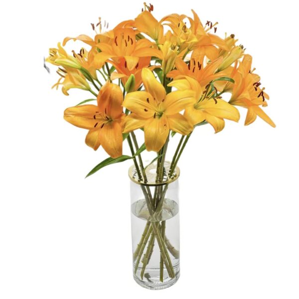 Home Collection Lilies 02