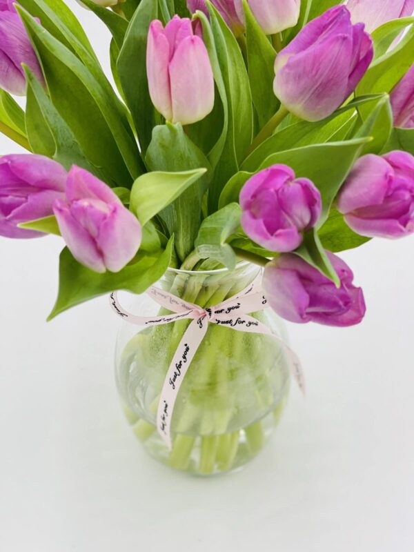 Tulips For You 02