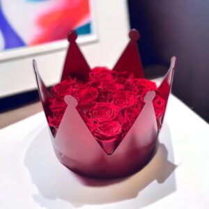 PhotoRoom_20230807_35609 PM